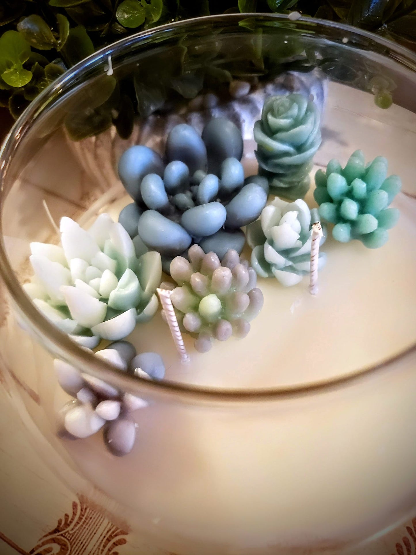 Succulent Bubble Terrarium Candle | Half Full