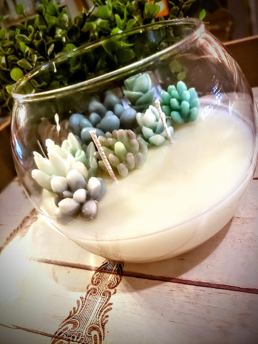 Succulent Bubble Terrarium Candle | Half Full