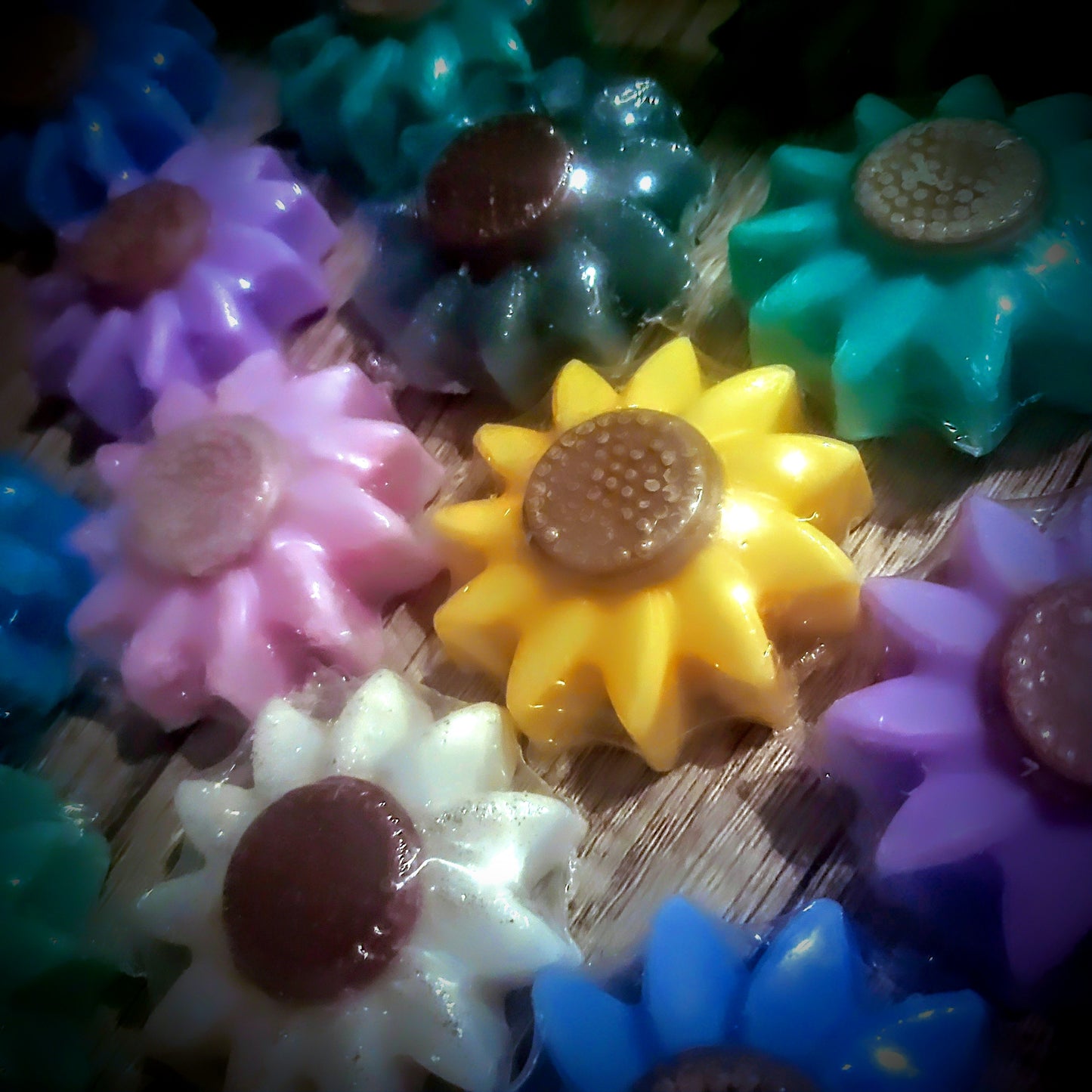 Sunflower Wax Tarts